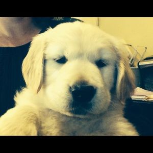 Meet your Posher, Michele